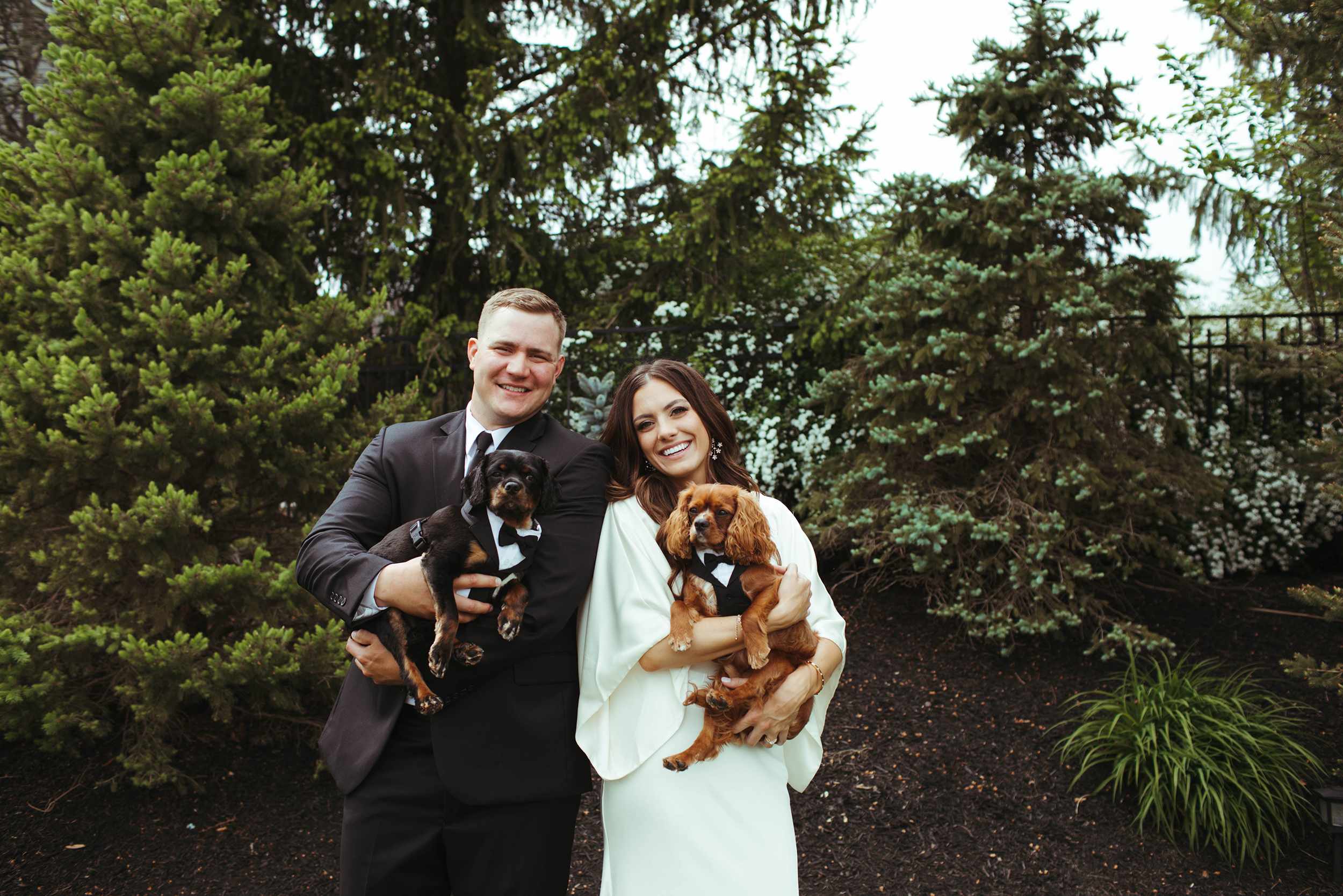 your dog in your wedding